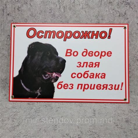 Табличка Осторожно, во дворе злая собака без привязи (Алабай чёрный ...