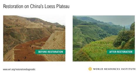 Restoring China’s Loess Plateau