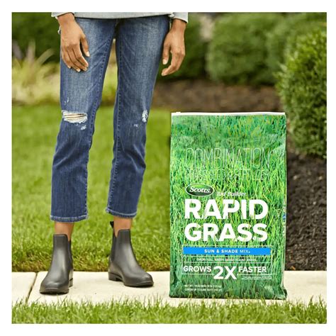 Scotts Turf Builder Rapid Grass 16 Lbs Sun And Shade Grass Seed Fic Greenpan