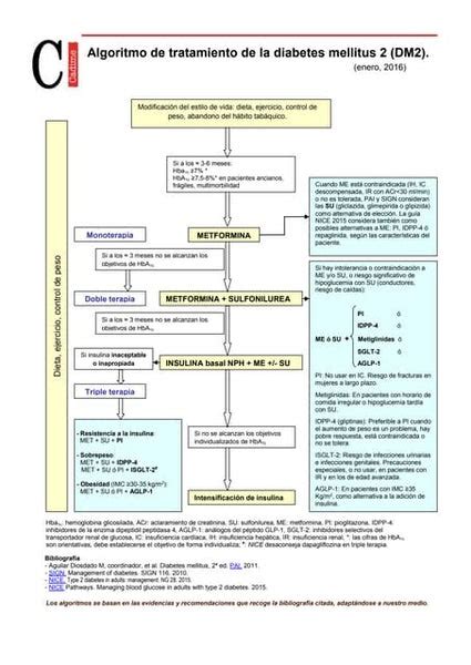 Algoritmo 2023 Diabetes Tipo 2 Semi Pdf