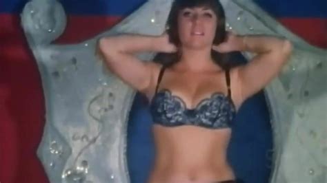 Free Vintage Beauty Porn Videos XHamster