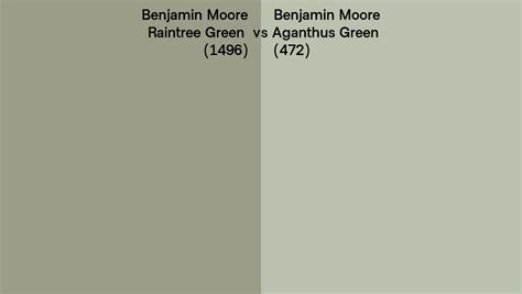 Benjamin Moore Raintree Green Vs Aganthus Green Side By Side Comparison