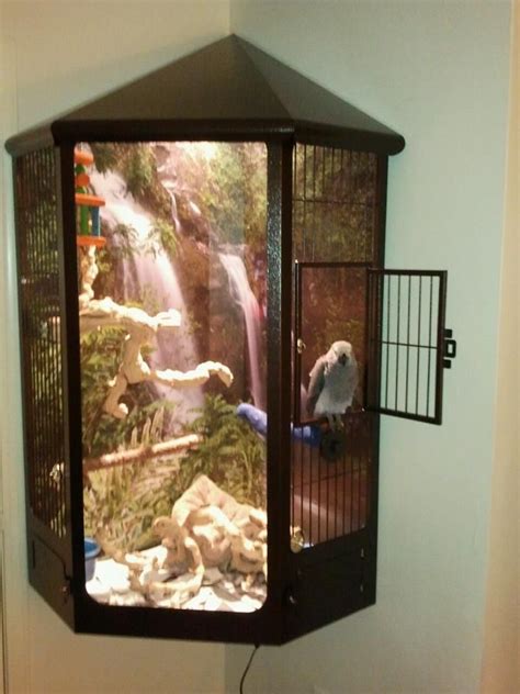 NuAge bird cage | Diy bird cage, Bird cage design, Bird cages