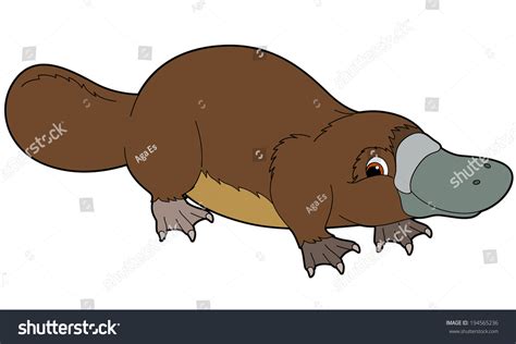 1,390 Cartoon platypus isolated Images, Stock Photos & Vectors ...