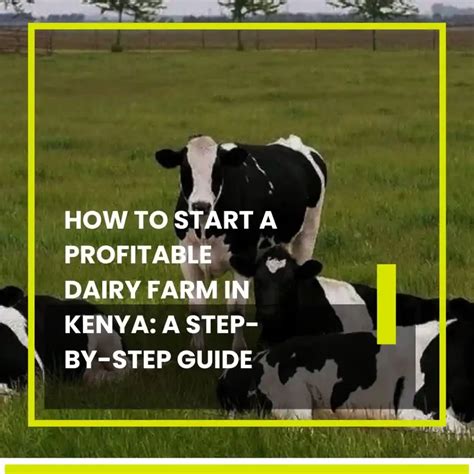 Start A Profitable Dairy Farm In Kenya A Step By Step Guide