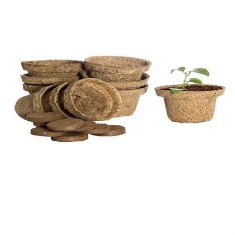 Brown Eco Friendly Coir Pot At Rs Piece In Bengaluru Id