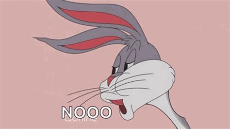 No Bugs Bunny Meme Gif Bugs Bunny No Gif Findsjobme Portal – Themeloader