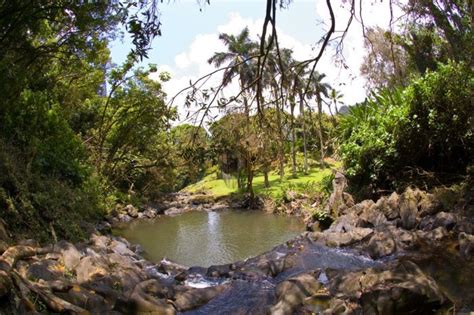 14. Judd Trail Hawaii Volcanoes National Park, Volcano National Park ...