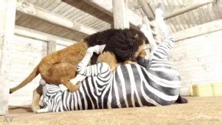 SOUTHERNSTROKES Gays Dmitry Olsen And Johannes Lars Raw Fuck Pornhub Gay