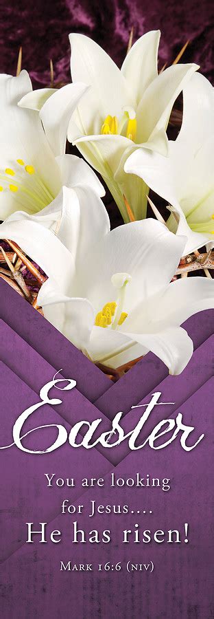 He Has Risen Easter 2 X 6 Fabric Banner Cokesbury