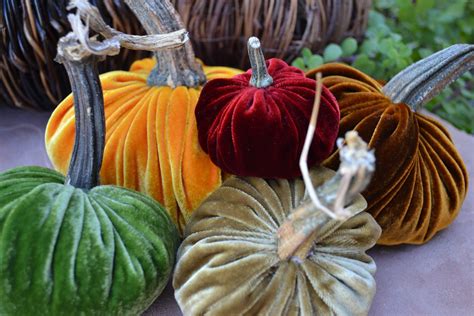 5 Velvet Pumpkins With Real Stems Halloween And By Abbeytinavelvets