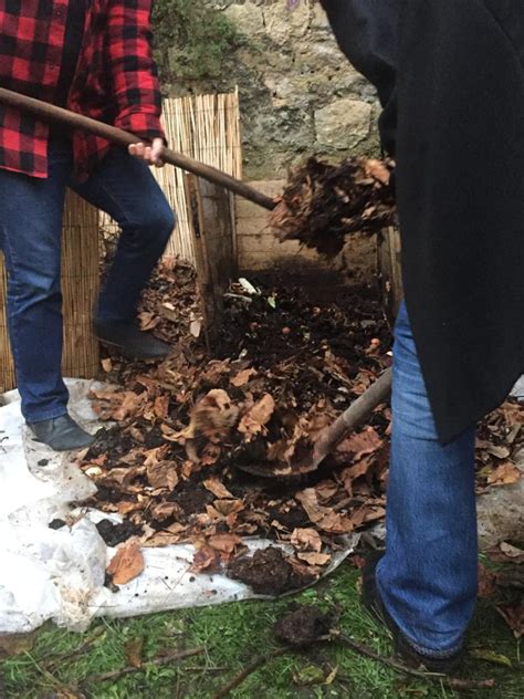 Sauvetage De Compost à Vanves Grainenville