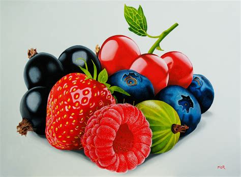 Berry Selection Ii, Painting by Dietrich Moravec | Artmajeur