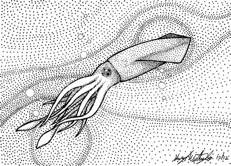 Squid Ink - Sheryl Westleigh - Illustration Sculpture Design