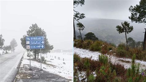 El Ajusco Se Pintó De Blanco Con La Presencia De Aguanieve En La Zona