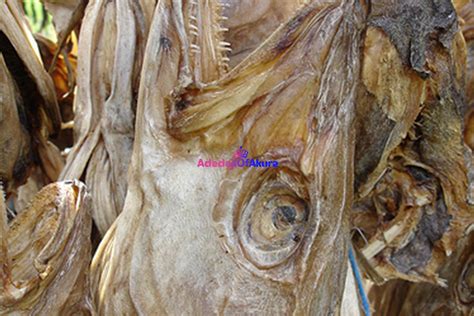 Stockfish: Nutritional value of adding stockfish to your dishes ...