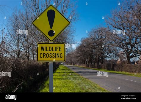 New Zealand Countryside Scenes Iconic Road Signs And Warnings Stock