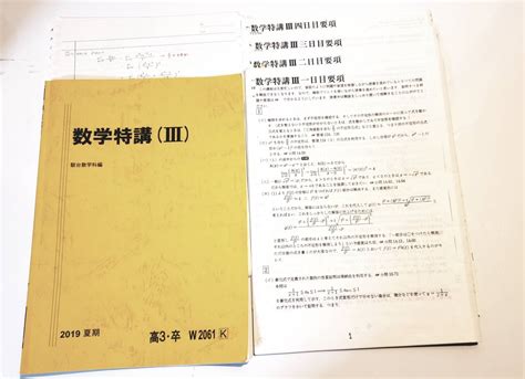 駿台 2019 夏期講習 数学特講Ⅲ 杉山義明 テキスト プリント ノート数学｜売買されたオークション情報、yahooの商品情報を