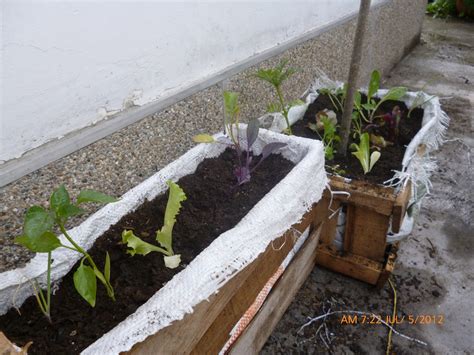 Escuela De Agricultura EcolÓgica Con Énfasis En Asociatividad La Agroecologia Como PolÍtica