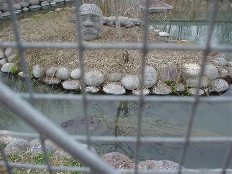 Miracle Hot Springs In Idaho Idaho Hot Springs