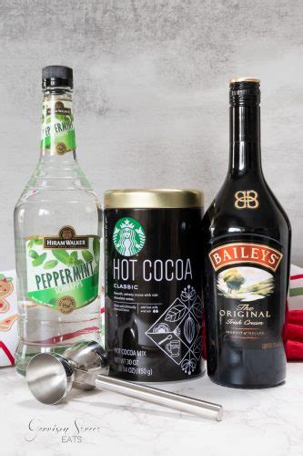 Easy Adult Hot Chocolate Recipe Garrison Street Eats