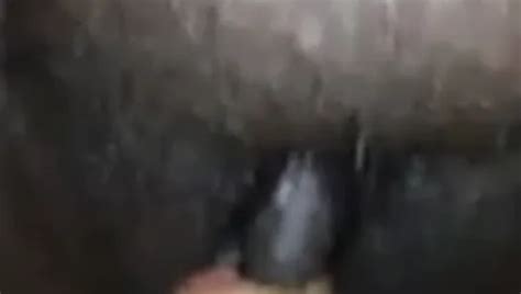 Free Black Dick In Pussy Porn Videos XHamster