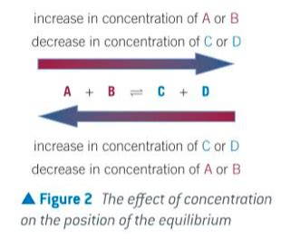 Chemical Equilibrium Flashcards Quizlet