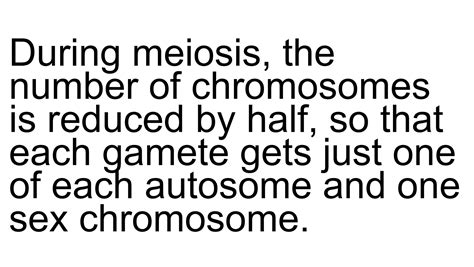 Sex Linked Traits Pptx Blood Disorders Diseases And Conditions