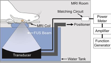 Schematic Of Mri Guided Focused Ultrasound System Used In This Work