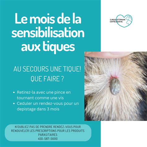 Sensibilisation Aux Tiques