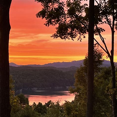 Product reviews, pictures, and more