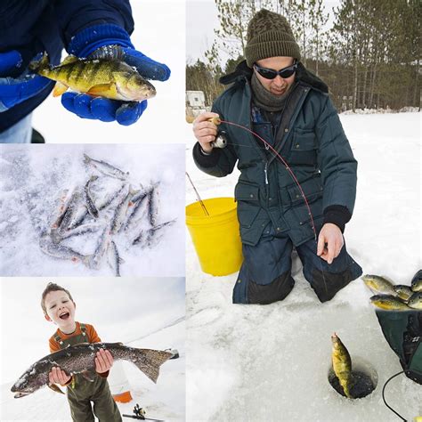 Experience The Difference: Ice Fishing Trout Baits That Change Winter Anglers Forever