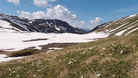 Warum Es F R Pflanzen Gut Sein Kann Auf Sex Zu Verzichten News Myscience News News