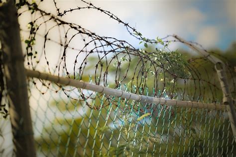 Barbed Wire Fence Barbwire Free Photo On Pixabay