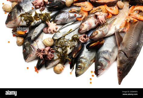 Fresh Catch Of Fish And Other Seafood Close Up Stock Photo Alamy