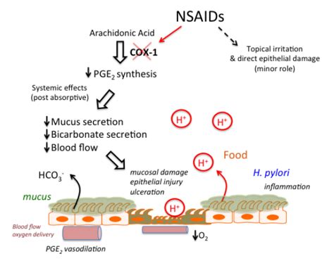 Nsaidsideeffects Tusom Pharmwiki