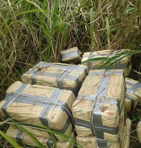 Detienen 2 Dominicanos E Incautan 302 Kilos De Cocaína Al Sur De La Española