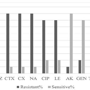 Antibiogram Pattern Amongst A Esbl And B Blir E Coli Isolates