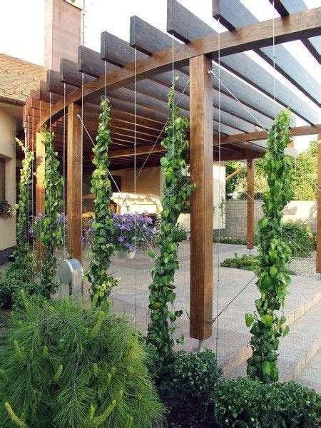 Holz Pergola Ideen Mit Gr Ne Kletterpflanze Pergola Ideas Backyard