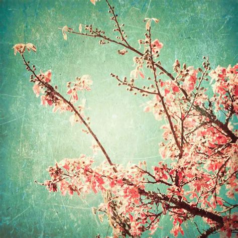 Vlies Fotobehang Cherry Blossom Vintage Bloemen Behang Muurmode Nl