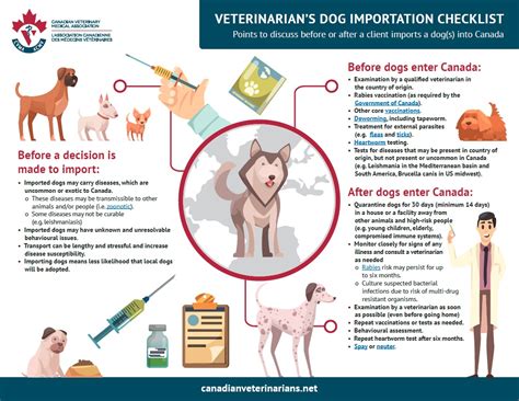 dog  rabies shot