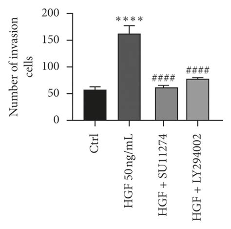 Curcumin Inhibits HGF Induced EMT Via Modulation Of C MET PI3K Akt MTOR