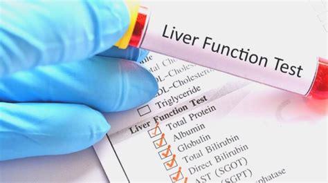 Liver Function Tests Information About Its Types And Purposes