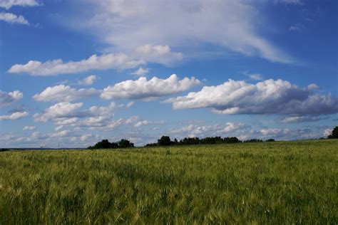 Himmel Und Erde — Rezepte Suchen