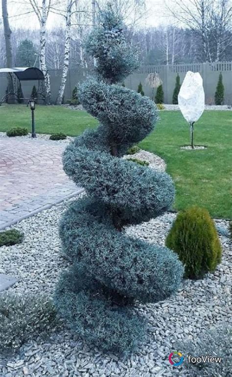 Topiary Garden Design Ideas