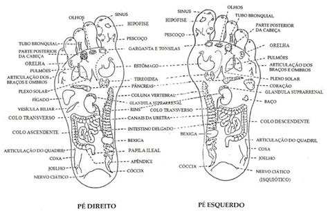 Mapa Reflexologia Anamnese Reflexologia Massagem Nos Pés