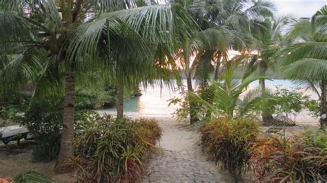 Moheli Pictures - Traveller Photos of Moheli, Comoros - TripAdvisor