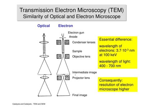 Ppt Principles Of Electron Microscopy Em Powerpoint Presentation