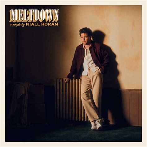 Niall Horan Meltdown la portada de la canción