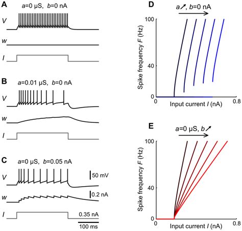 Influence Of Adaptation On Spiking Behavior And Curves Of AEIF